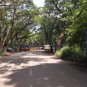 Aarey metro car shed scrapped, to be shifted: Uddhav