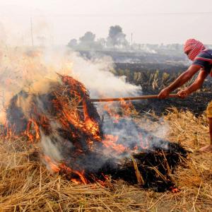 SC constitutes committee to monitor stubble burning