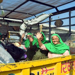 Farmers head home after a yr; aircraft showers petals