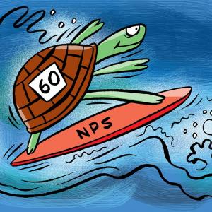 Opt for NPS for higher returns