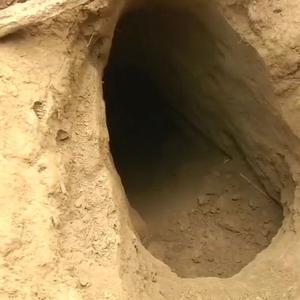 BSF finds tunnels used by terrorists for infiltration