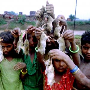 Why Bihar's Musahars won't get vaccinated