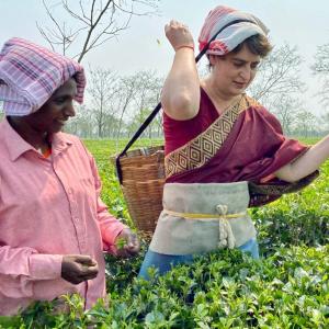 SEE: Priyanka joins in to pluck tea leaves in Assam