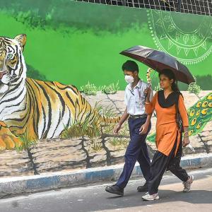 Yeh Hai India: Tiger On The Prowl?