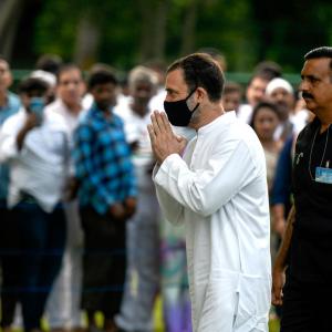 Rahul insists on electing a non-Gandhi as Cong chief