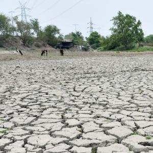 World Bank warns of unbearable heatwaves in India