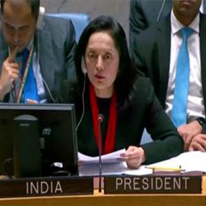 'Didn't hesitate to...': India on 2-yr UNSC presidency