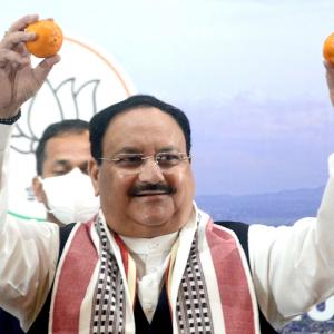 What's J P Nadda doing with oranges?
