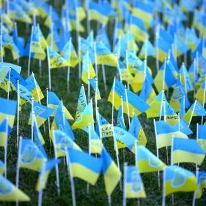 Flags Flutter For Ukraine's Fallen
