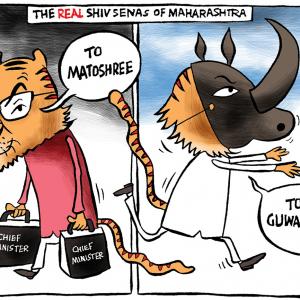 Uttam's Take: Which Is The Real Sena?
