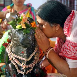 SEE: Mahashivratri Celebrations In India