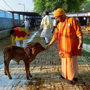 Yogi, the saffron-clad monk who will be UP CM again