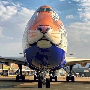 8 cheetahs to arrive in India in this special jet