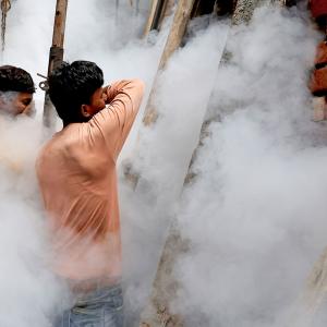 Delhi Takes On Dengue Mosquitoes