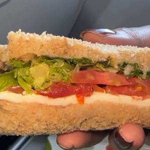 Passenger finds worm in sandwich in IndiGo flight