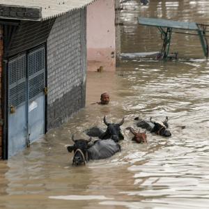 Rain multiplies Delhi's woes, roads still inundated