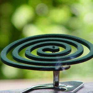 6 die in fire at Delhi home caused by mosquito coil