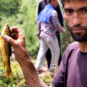 What's Fishing In Kashmir?