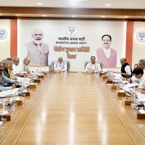 BJP names 4 Union ministers, 14 MPs in 3 state polls