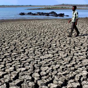 Most of Karnataka to be declared drought-hit