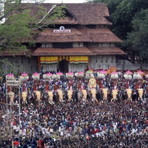 Kerala forest dept's Thrissur Pooram circular sparks controversy