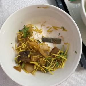 AI passenger finds blade-like object in flight meal