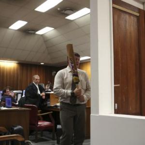 Pistorius smashed toilet door with bat, expert says