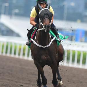 Pak equestrian to ride 'Azad Kashmir' at 2020 Olympics