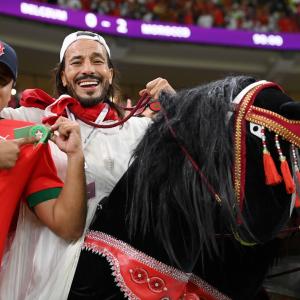 PIX: How Moroccans celebrated victory over Belgium!