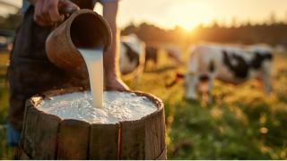 Which Country Produces The Most Milk?