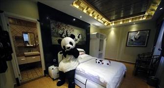 Images: World's first PANDA themed hotel in China!