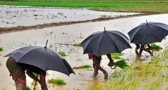 'Below-normal rains may not lead to a spike in inflation'