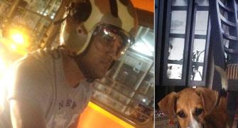 Dhoni's love for dogs continues as he adopts another pup