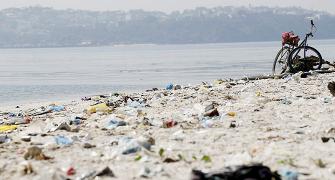 Olympic sailors, rowers shrug off reports of Rio's polluted waters