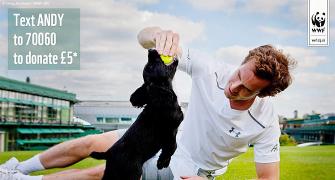 Andy Murray plays with pups in sniffer-dog video