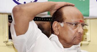 MCA elections: Patil seeks Pawar's blessing; urges him not to contest