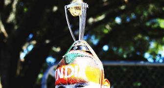 World Cup Blogs: Dark side of the Sachin superfan