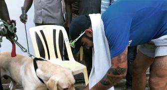 PHOTOS: Dog lover Kohli comes to the fore in Chennai