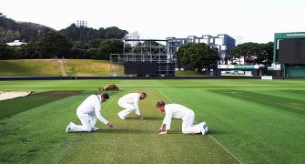 'The wicket at Basin Reserve looks like it might do a bit'