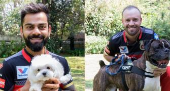 PIX: IPL stars celebrate International Dog Day
