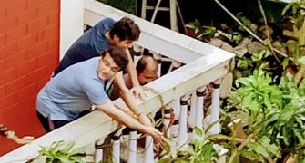 PIX: Ganguly fixes tree damaged by cyclone Amphan