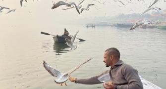 Dhawan feeds birds; fans remind him of bird flu