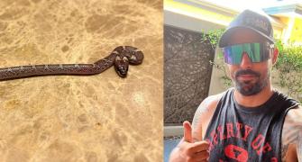 SEE: Snake in Mitchell Johnson's Room!