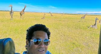 Tendulkar's 'Wild' Outing At Masai Mara