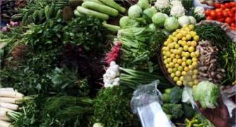 Cut your cancer risk: Go veg!