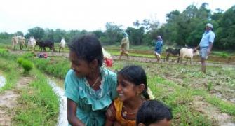 Unusual monsoon pics: Loving the rural life
