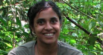 Unusual careers: Tropical forests are her office