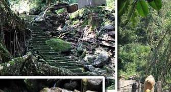 Trekking to the living bridges of Cherrapunji