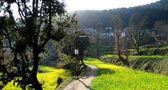 Have you ever been to Dharamkot?