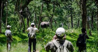 Jungle Talkies: A walk in Bandipur